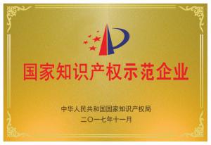 11.國(guó)家知識(shí)產(chǎn)權(quán)